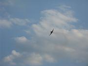 Horizon_Airmeet_2013_Set_2 075